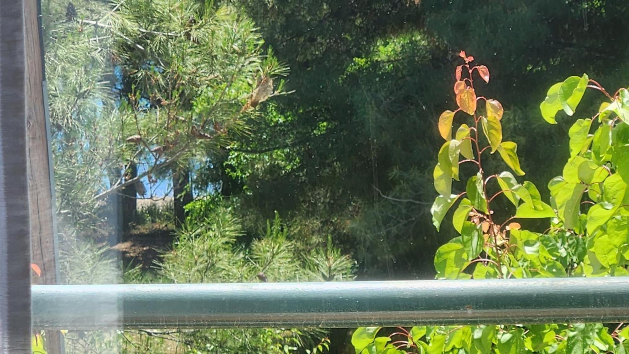 Pine Beach Holiday Home 2 Bedrooms 50 Meters To The Beach Kalyves Polygyrou Εξωτερικό φωτογραφία